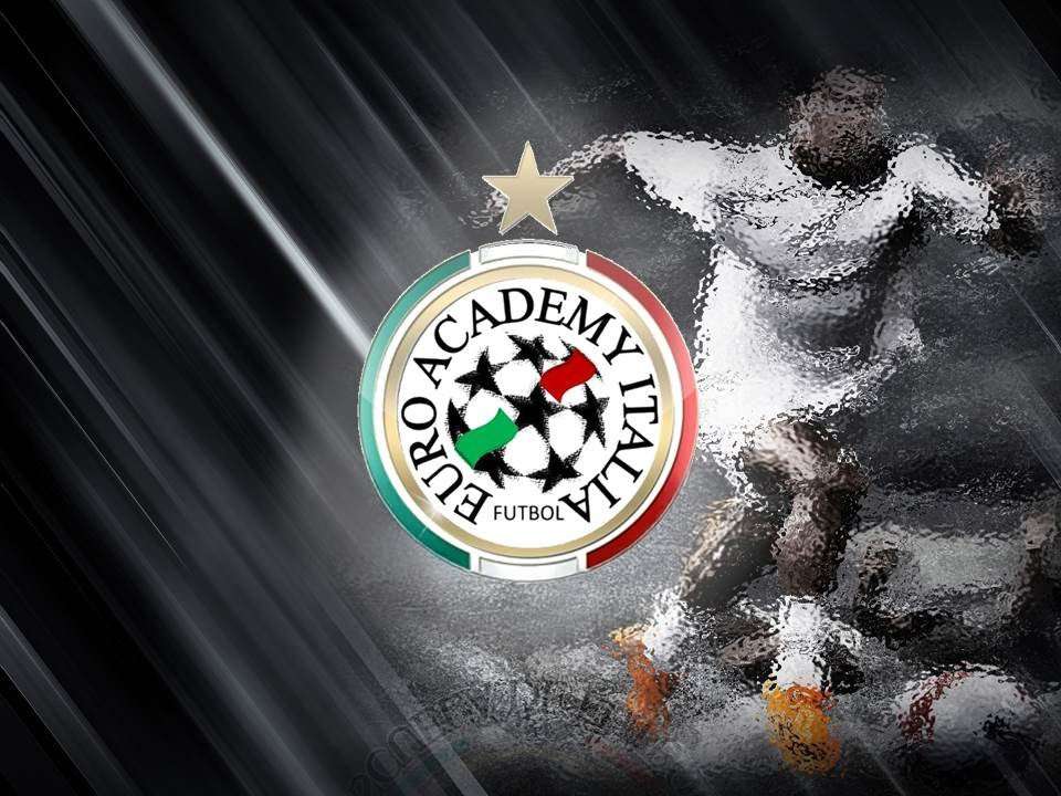 Grafikk for Europa Academy Italia